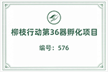 柳枝行动第36器孵化项目编号：576